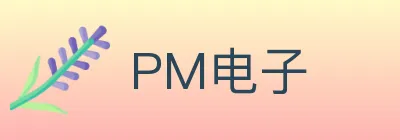 PM电子 logo